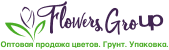 Flowers group логотип